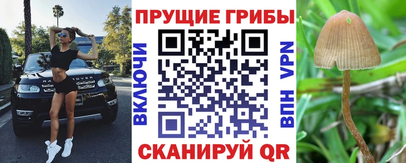 Галлюциногенные грибы мухоморы  Томск 